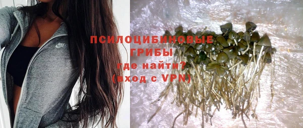 героин Пересвет