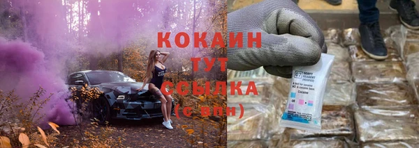 крисы Абдулино